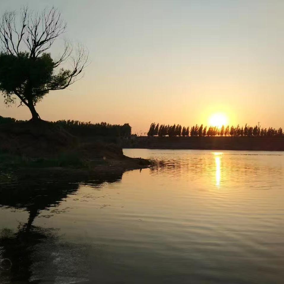 经典影视收录头像