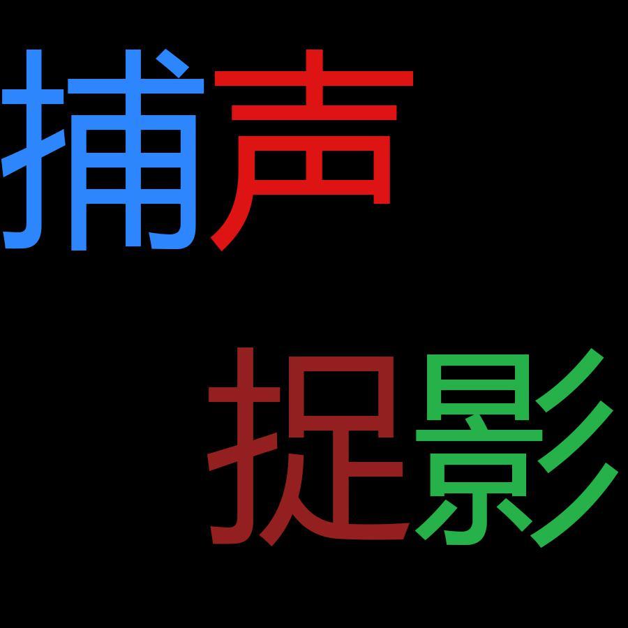 捕声捉影头像
