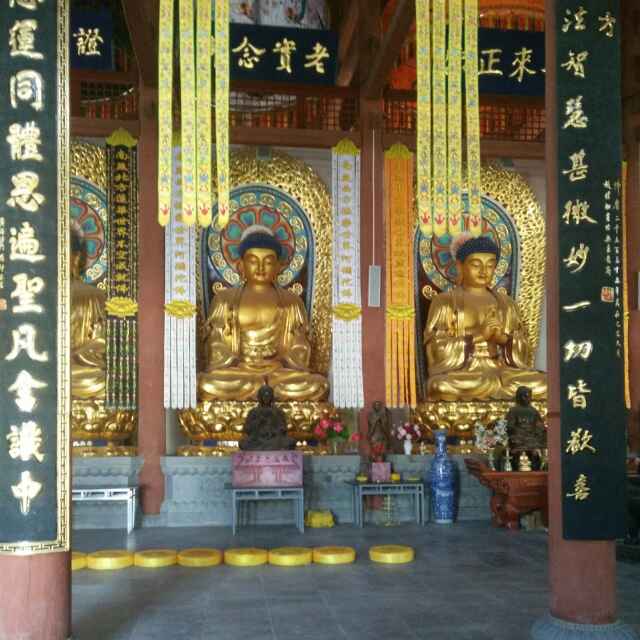 热闹百灵鸟sc头像