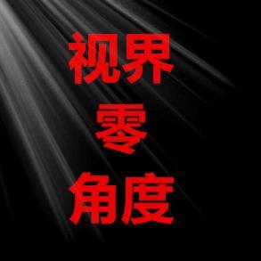 视界零角度头像