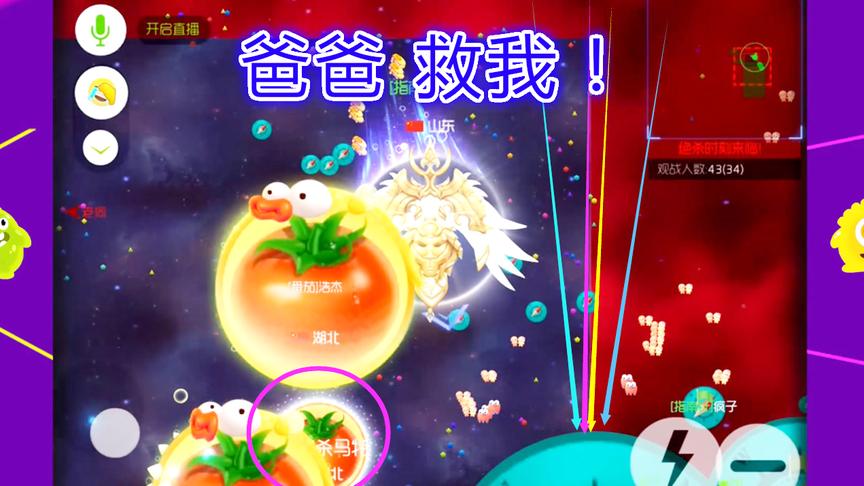 球球大作战大山：迷雾危机只剩一人，60护盾原地不动竟然赢了！