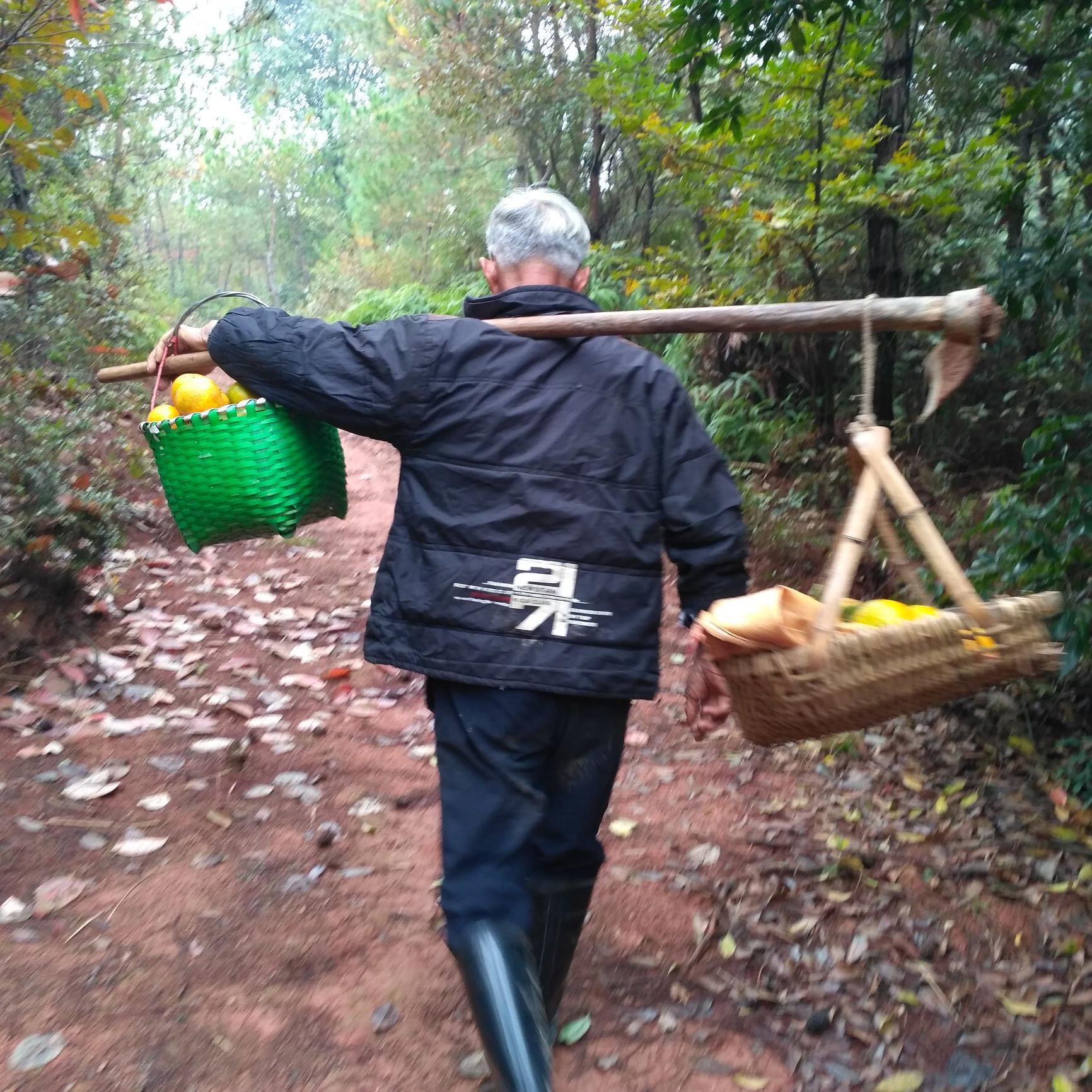 山野田园录头像