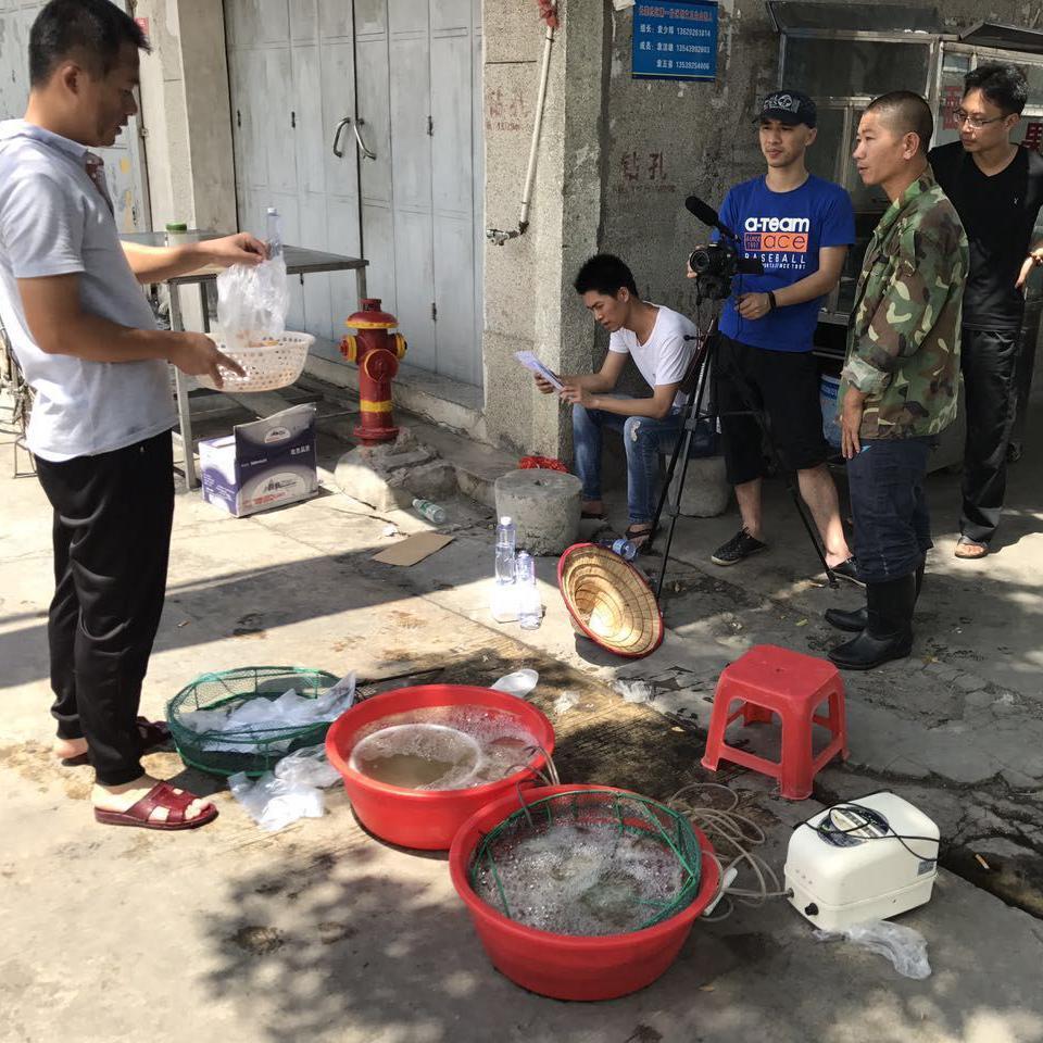 阿牙来了头像