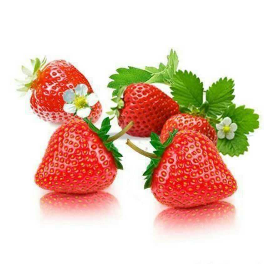 草莓图片 头像西瓜图片