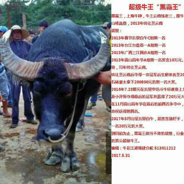 陶浪39283头像