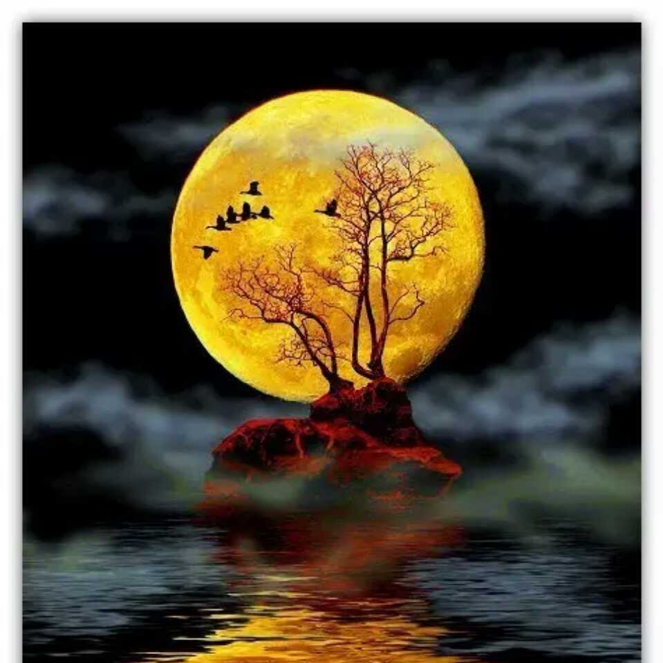 关注1粉丝81获赞00:08站的高看的远说的是真的7次播放·2018-05-2700