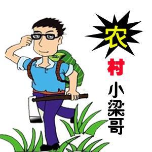 农村小梁哥头像