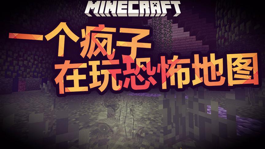 个傻子在玩恐怖地图
