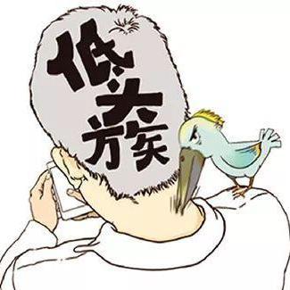 熊猫家园头像