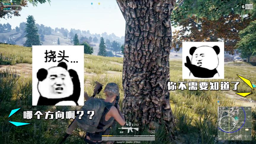 绝地求生：萌新双排遇大神终吃鸡，全程OK听指挥笑死我了