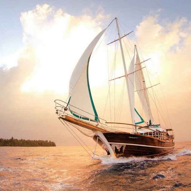 海阔天空2792头像