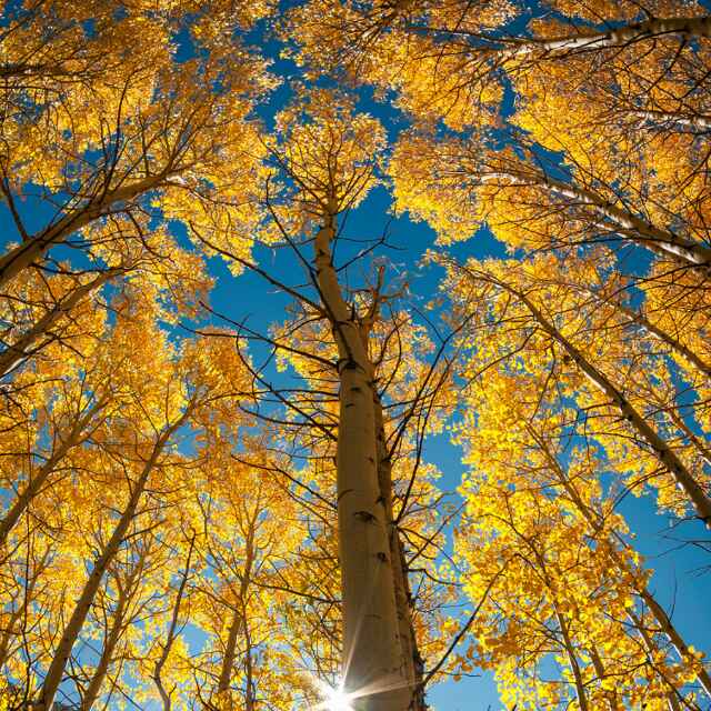 蓝天与梦想头像