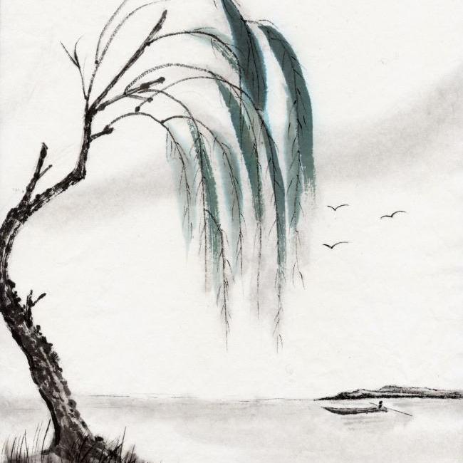 一枝柳树条头像