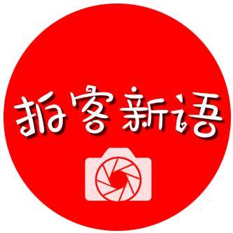 拍客新语头像
