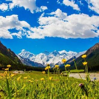 骑在马背上的羊头像