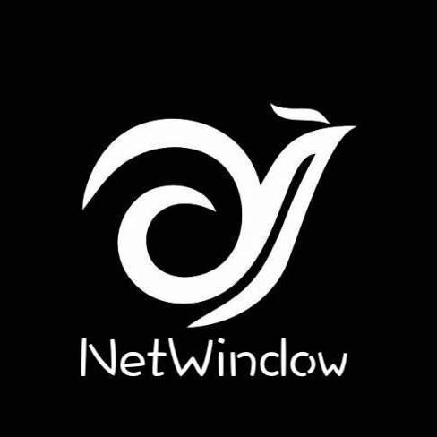 NetWindow头像