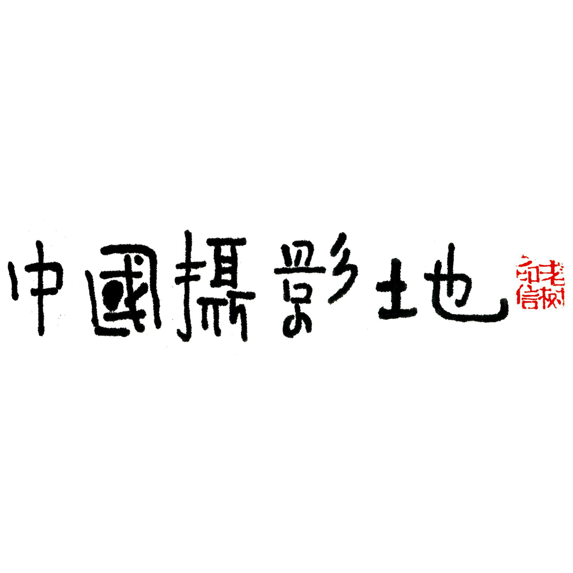 中国摄影地头像