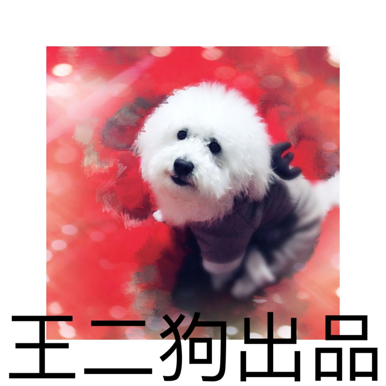 王二狗看电影头像