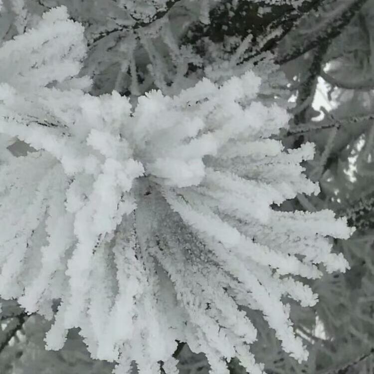 舞动的旋律头像