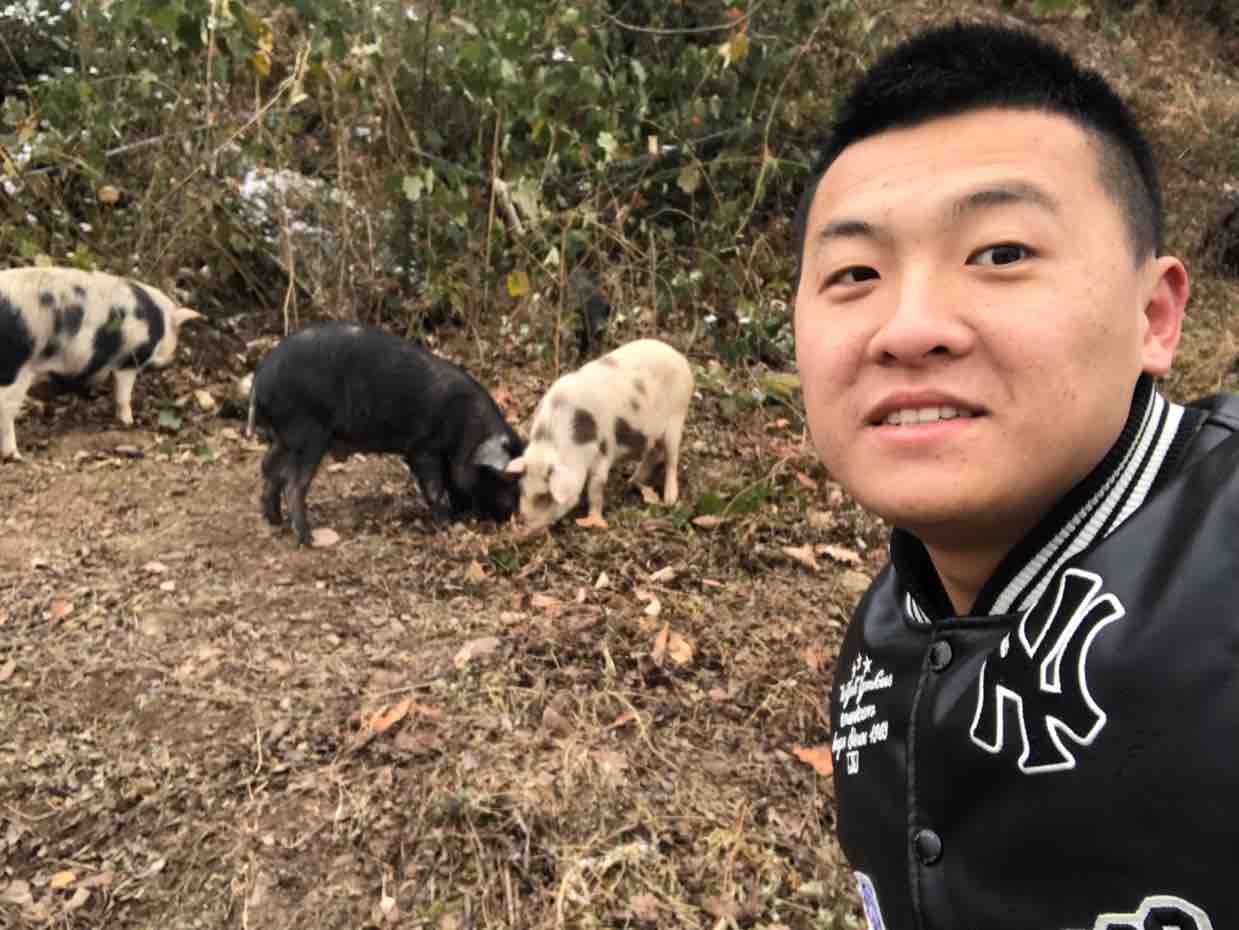 三农达人小陈头像