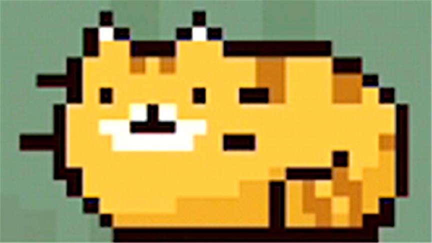 我的老婆天天假装嗝屁 如果可以回家早一点 鲤鱼Ace