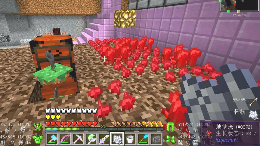 我的世界美丽新世界102：双层农场，地狱疣