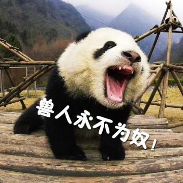 熊猫表情包 兽人图片