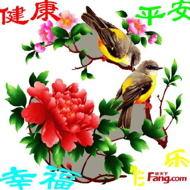 苹果红头像