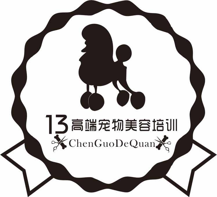 十三 高端宠物美容工作室一号满的个人主页 西瓜视频