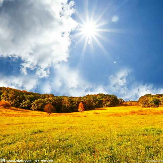 旭日东升15618头像