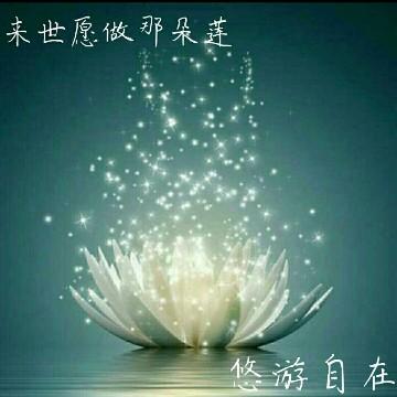 悠游自在哦头像
