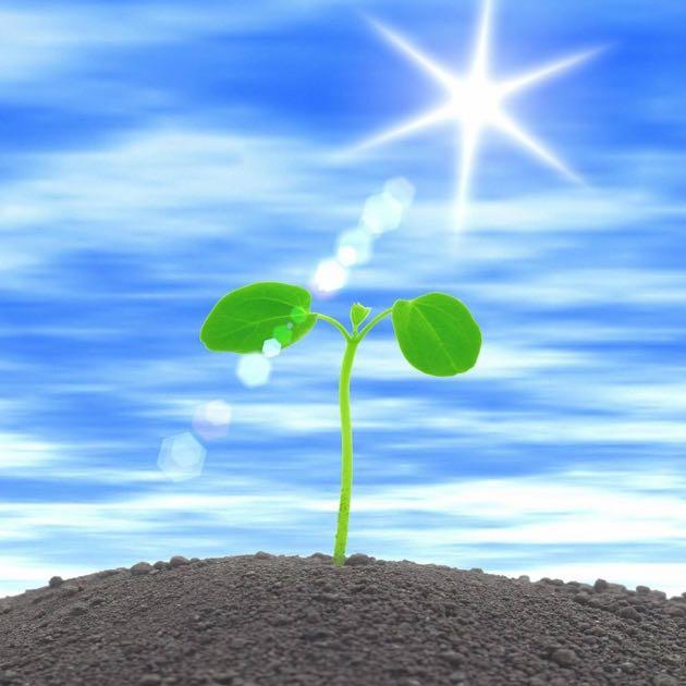 淡定3373266851509头像