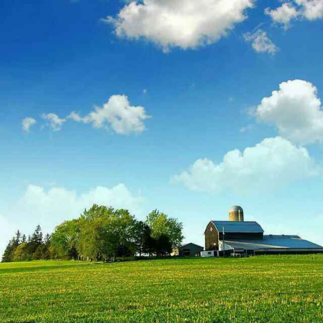 希望明天更美好833头像