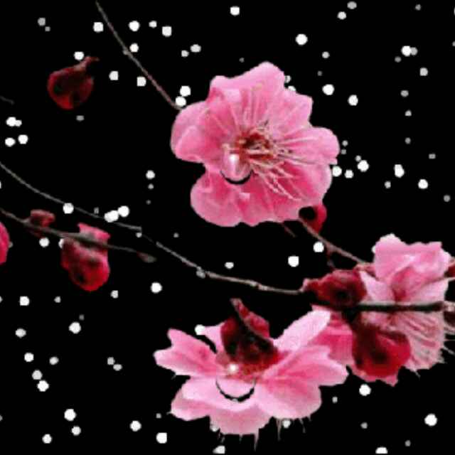 柳暗花明1220头像