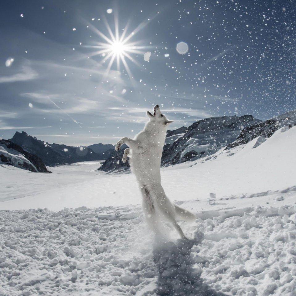 imissyou我怀念的头像