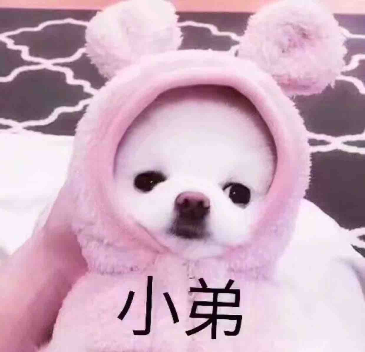 心若流沙01头像