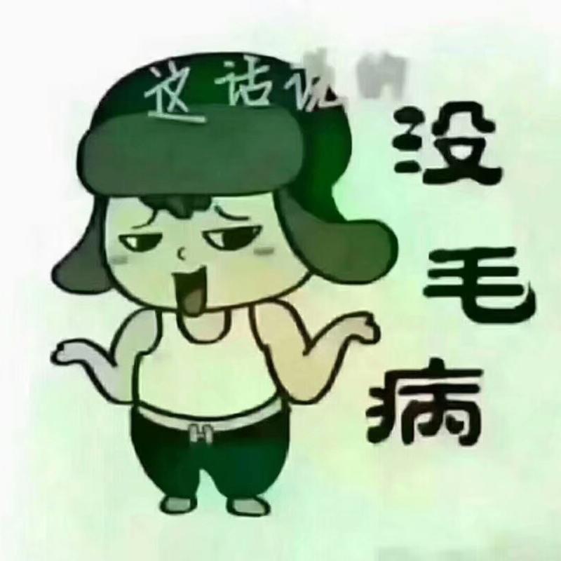 西北头狼头像