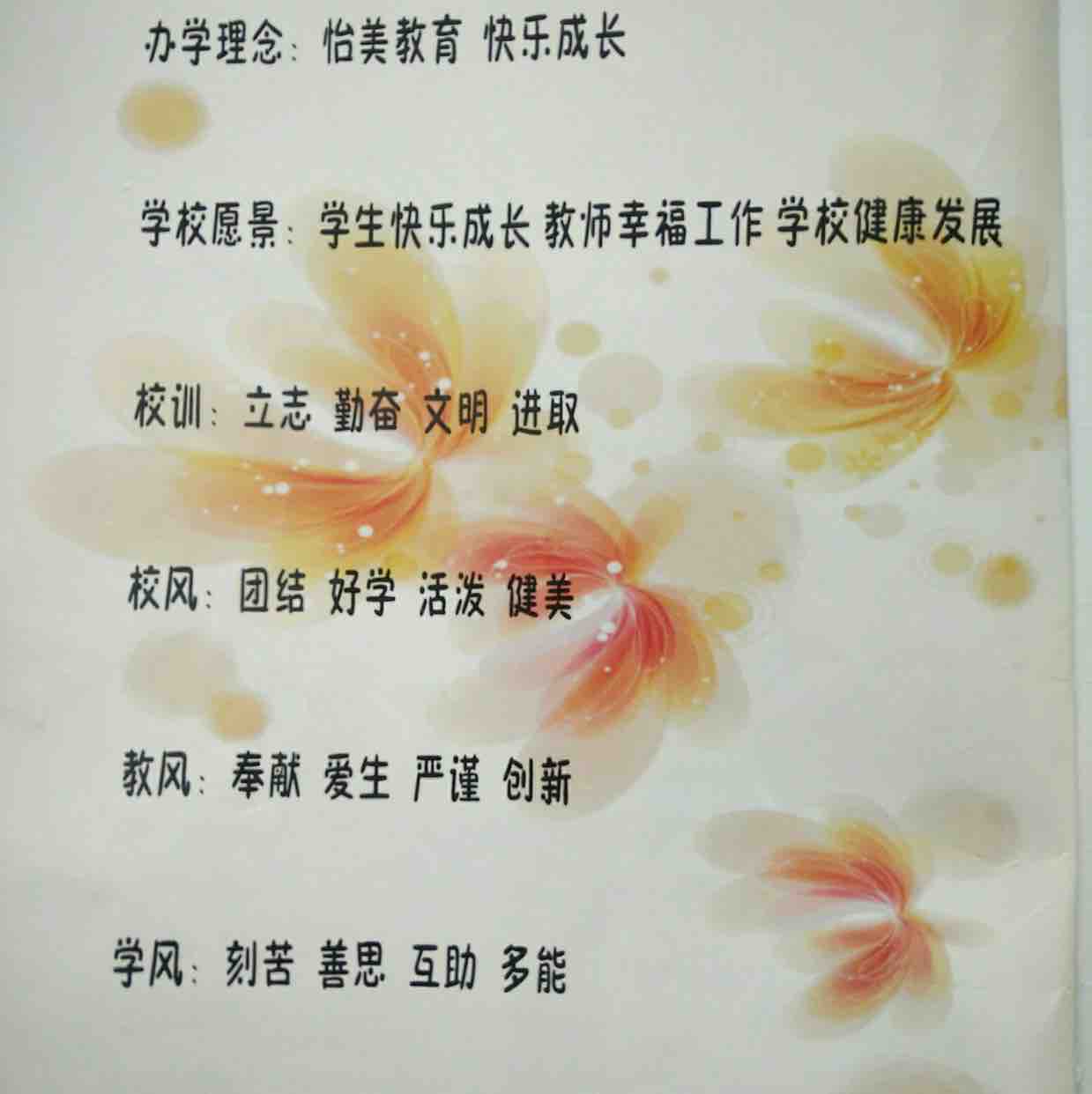 陶陶猪猪520头像