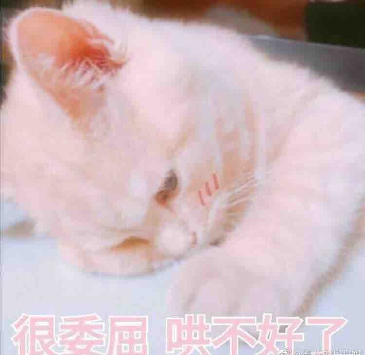 夏末冬至2018头像