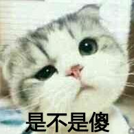 红枪门丿东sir头像
