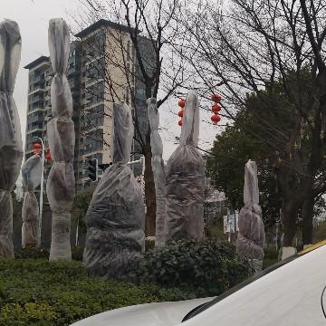 程阿海头像