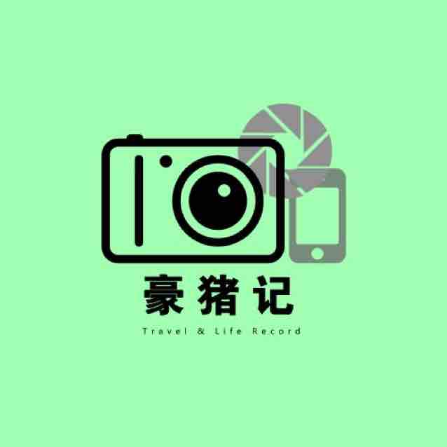 豪猪说头像