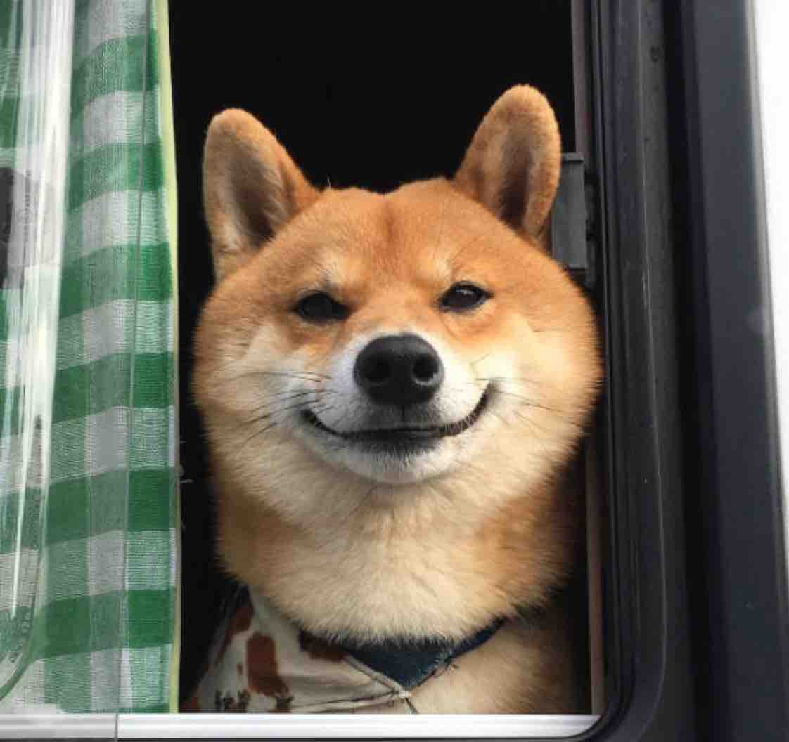 一克拉阳光50819761头像