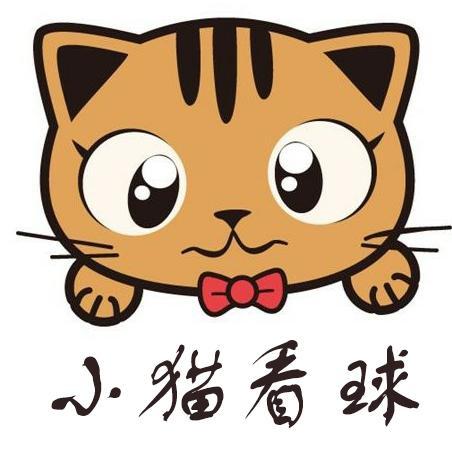 小猫看球头像