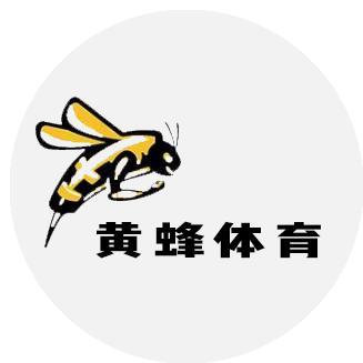 黄蜂体育头像