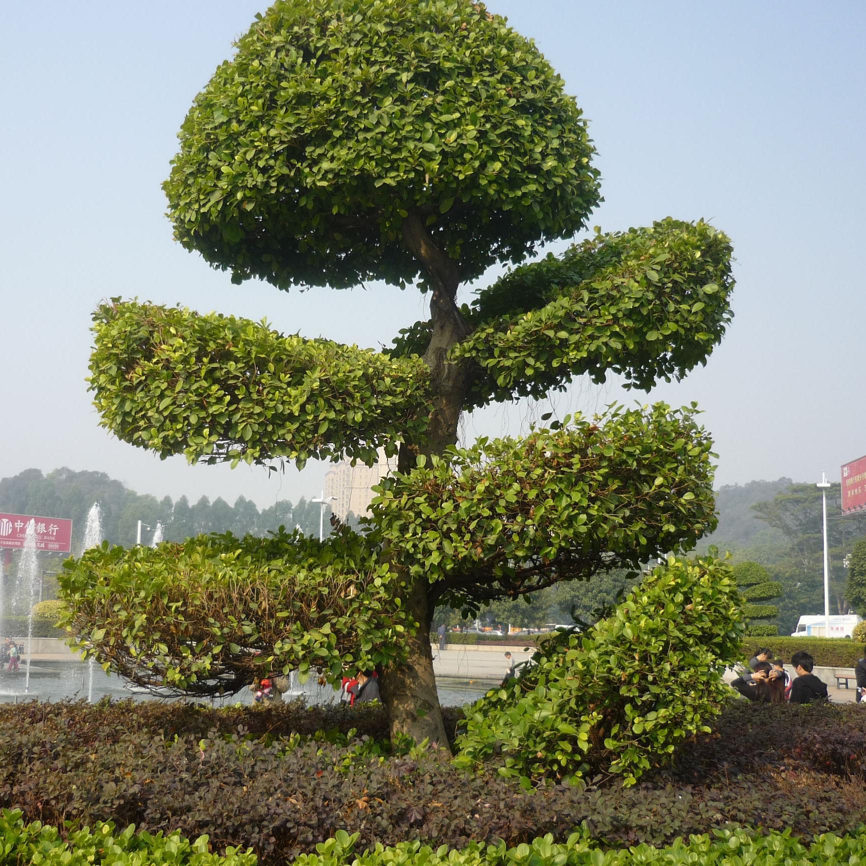 岳冠池头像