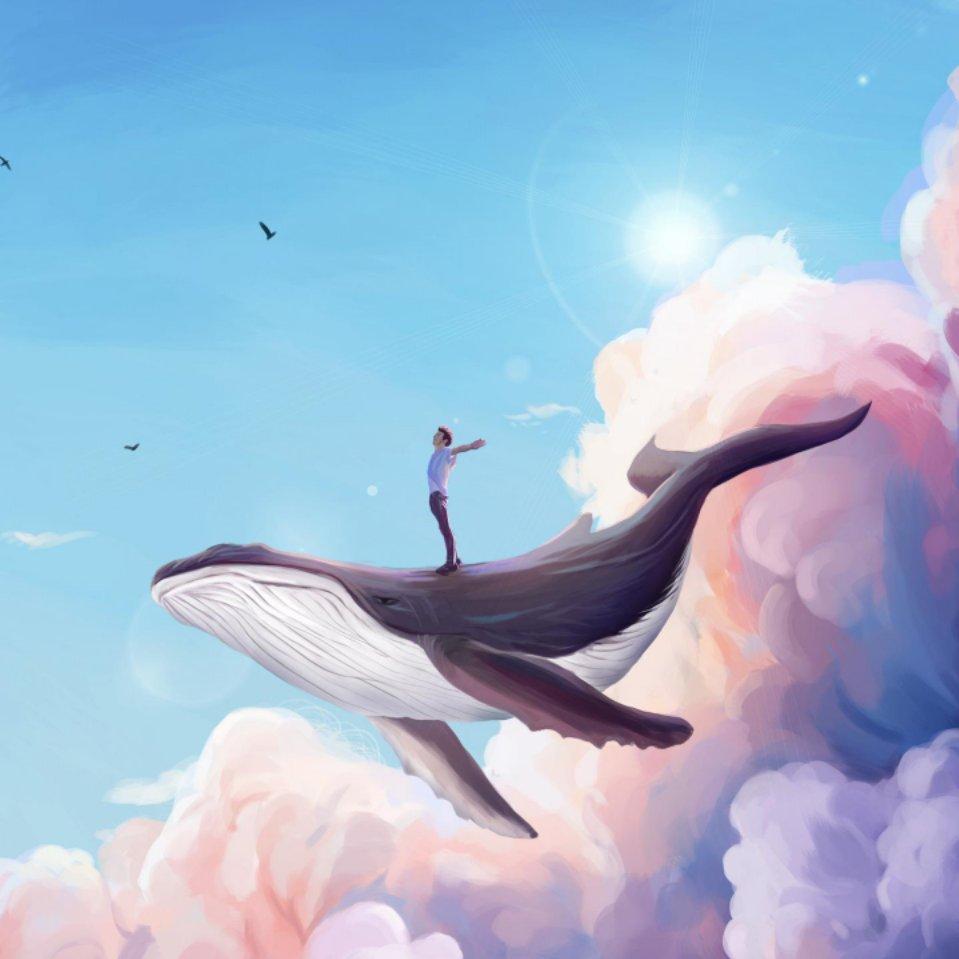 轻舟已过万重山703头像