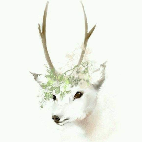 谜鹿有你头像