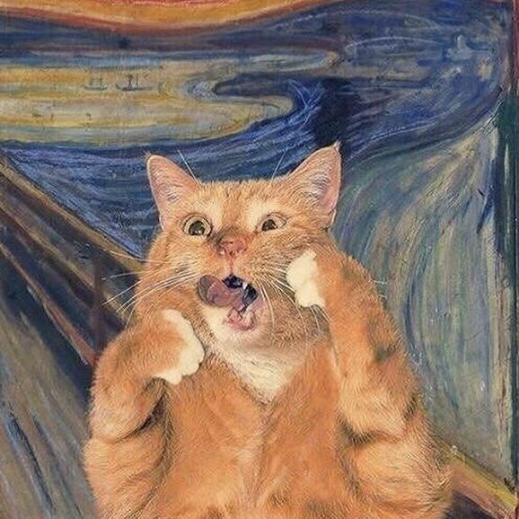 隔壁有只猫猫猫头像