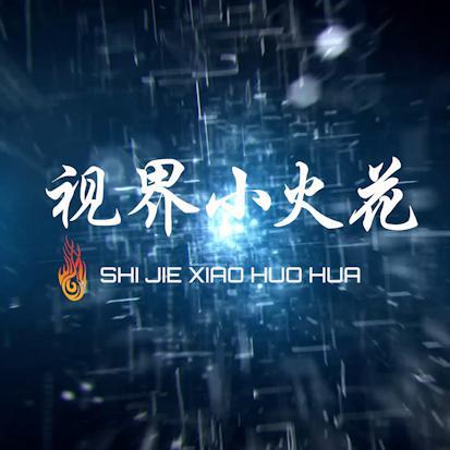 视界小火花头像